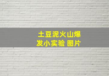 土豆泥火山爆发小实验 图片